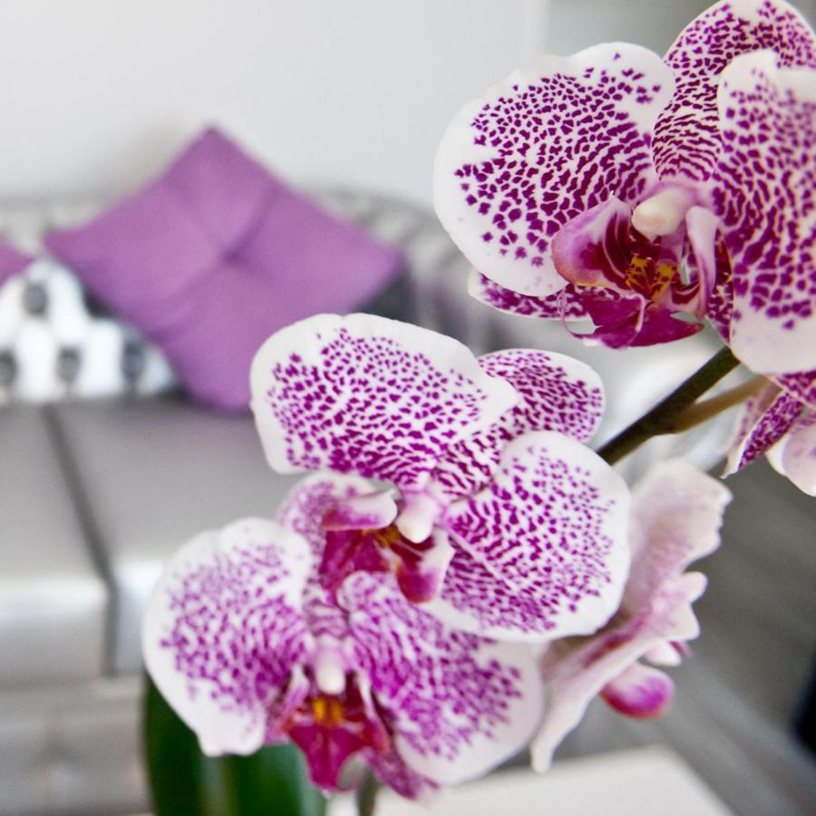 Alix Boutique Hotel Arteixo Exterior photo